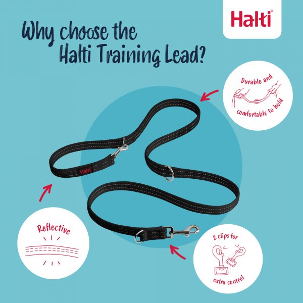 2- Halti Training Lead Black Why choose the Halti Training Lead EN 2- Halti Training Lead Black Why choose the Halti Training Lead EN