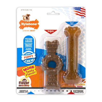 Nylabone Puppy Ring/Bone 2 Pack XS