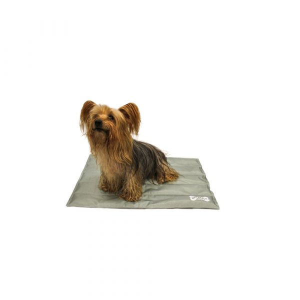 809708 animate pet cooling mat small small dog sat on a grey cooling mat