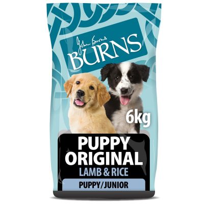 Burns Puppy Lamb