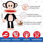 57060 Julius The Monkey Infographic 1024