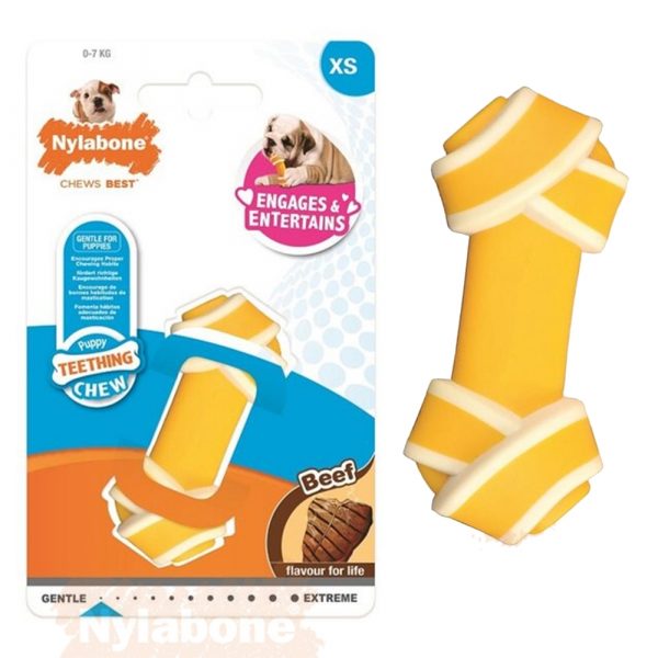 984723 Nylabone Puppy Knot Beef XS 1000