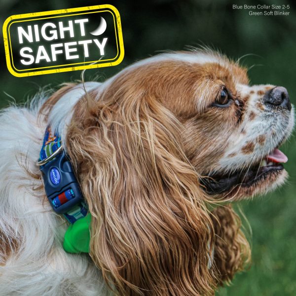 Ancol Blinker Green on Dog Ancol Blinker Green on Dog