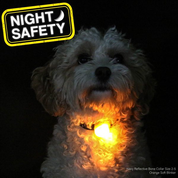 Ancol Blinker Orange on Dog Ancol Blinker Orange on Dog