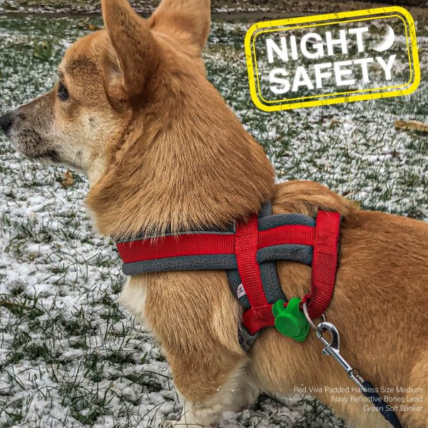 Ancol Blinker Orange on Harness Ancol Blinker Orange on Harness