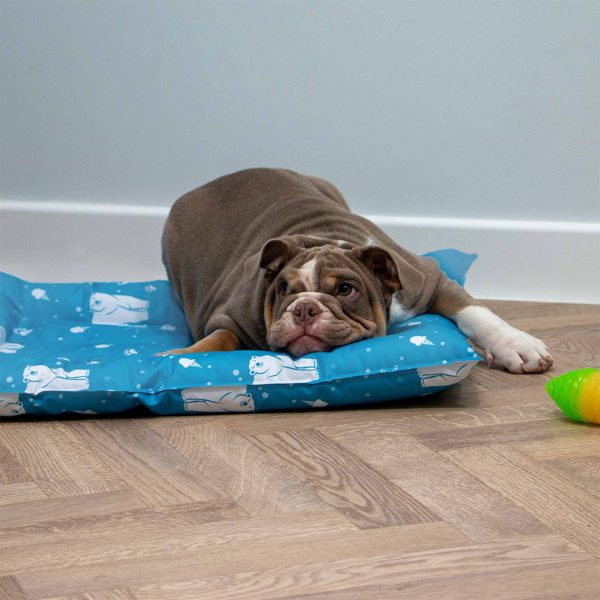 Ancol Dog Cooling Bed Bulldog 1080px A studio lifestyle image of a chunky lilac British Bulldog lying down and resting its head comfortably on an Ancol self-cooling pet bed. The bright blue cooling bed features a repeating white pattern of polar bears and snowflakes. The bed is placed on a light oak herringbone parquet wooden floor against a plain light grey wall, showcasing the product as a practical indoor cooling solution to keep flat-faced, brachycephalic breeds safe and comfortable during hot weather.
