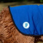 A close-up detailed shot of the Ancol Ice Paws cooling coat worn by a fluffy brown dog. The image focuses on the vibrant blue, breathable mesh fabric and its black piping edge. A circular white rubber brand badge is sewn onto the lower rear of the jacket, prominently displaying the "ICE PAWS For Hot Dogs" logo with a paw print icon. The macro perspective highlights the specialized mesh weave designed to retain moisture for evaporative cooling