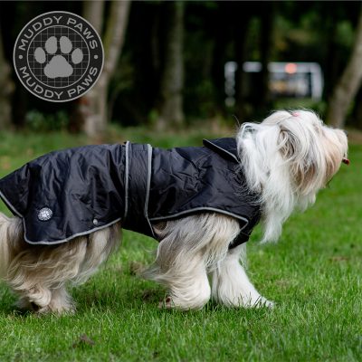 Dog Coats & Jumpers