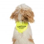Ancol Warning Bandana Small on Dog 1080