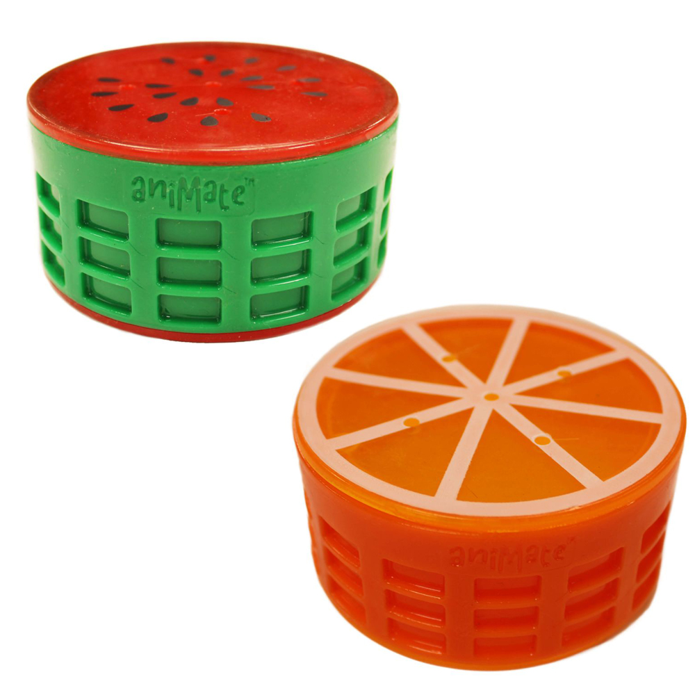 Watermelon and Orange Dog Cooling Chew Toy