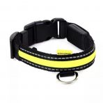Animate Green LED Collar 1024