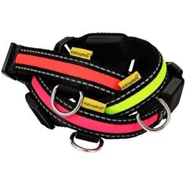 Animate LED Collars Bundle 1024 Animate LED Collars Bundle 1024