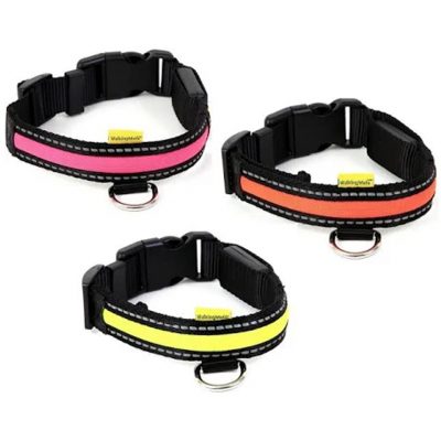 LED Flashing Adjustable Dog Collars by aniMate