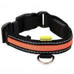 Animate Orange LED Collar 1024