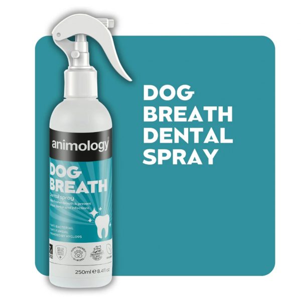 Animology Dog Breath Dental Spray 1024 Animology Dog Breath Dental Spray 1024