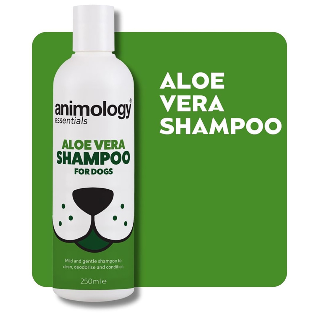 Bottle of Aloe Vera Dog Shampoo on a green background