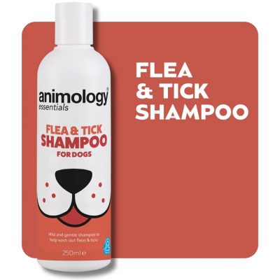 Bottle of Dog Flea Shampoo