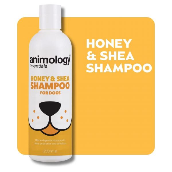 Animology Essentials Honey Shea Tile 1080px Animology Essentials Honey Shea Tile 1080px