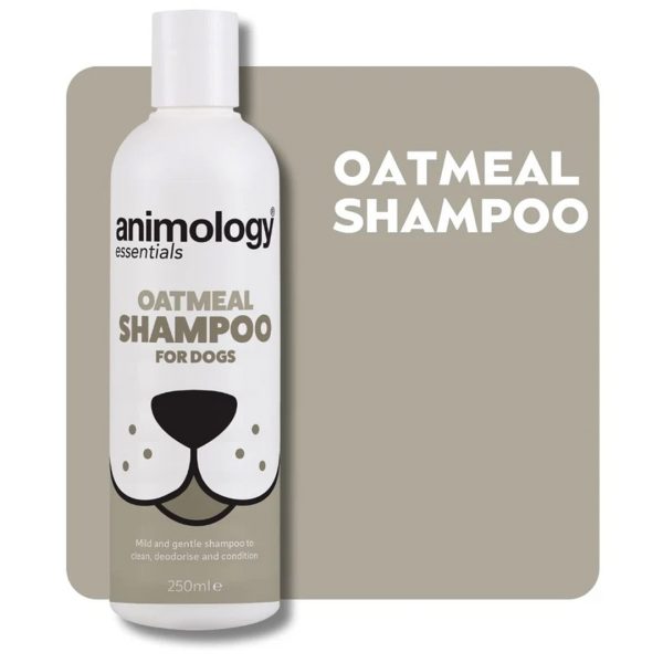 Animology Essentials Oatmeal Tile 1080px A 250ml white bottle of Animology Essentials Oatmeal Shampoo for Dogs set against a neutral taupe rounded background tile with bold white text reading "OATMEAL SHAMPOO