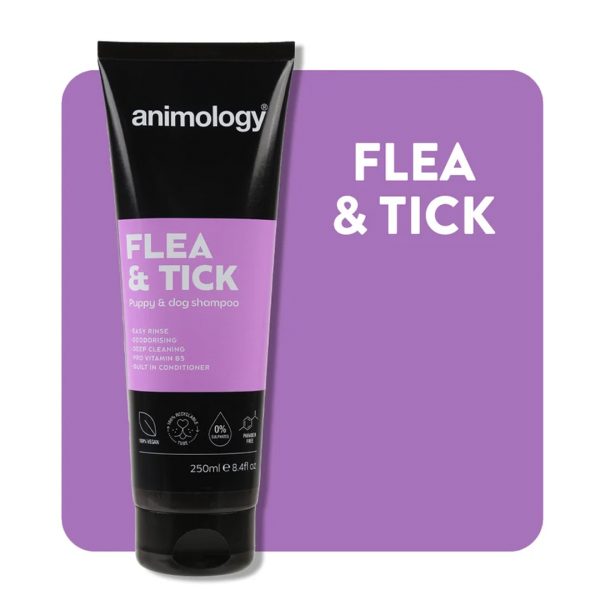 Animology Flea and Tick Shampoo 250ml Tile 1080px Animology Flea and Tick Shampoo 250ml Tile 1080px