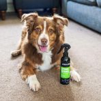 Animology Stink Bomb Deodorising Dog Spray Lifestyle 1080px