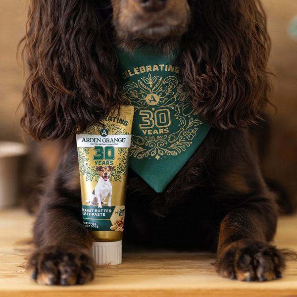 Arden Grange Tasty Treat Paste Peanut Butter Lifestyle 1080px Arden Grange Tasty Treat Paste Peanut Butter Lifestyle 1080px