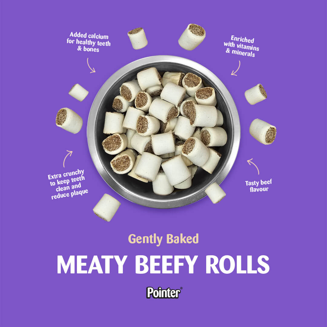 Pointer Meaty Beefy Rolls 1.5kg - Image 2