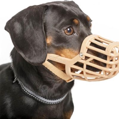 Dog Muzzles