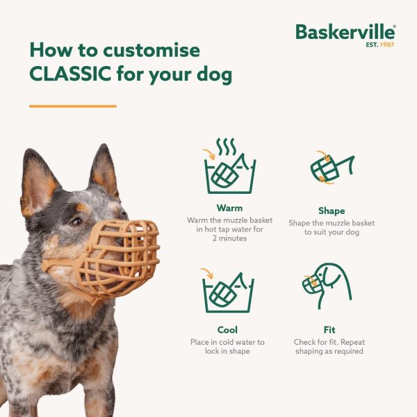 Baskerville Classic Muzzle Customise 1080 Baskerville Classic Muzzle Customise 1080