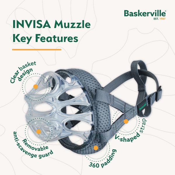 Baskerville INVISA Infographics 1280 (3) Baskerville INVISA Infographics 1280 (3)