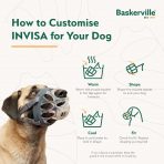 Baskerville INVISA Infographics 1280 (4)