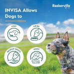 Baskerville INVISA Infographics 1280 (6)