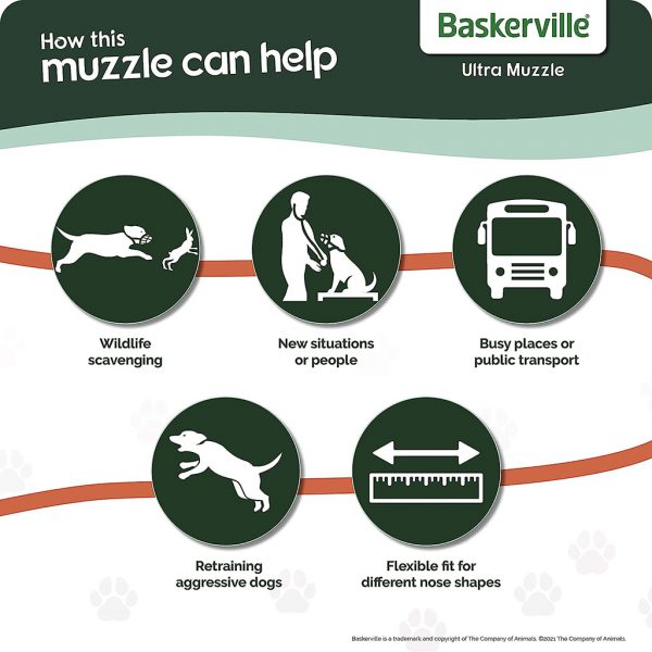Baskerville Ultra How Can Help Baskerville Ultra How Can Help
