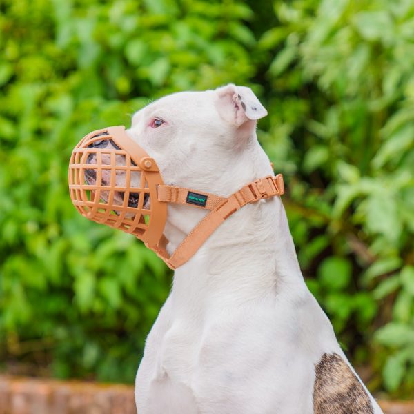 Baskerville Wide Fit Muzzle on Dog 1080 (2) Baskerville Wide Fit Muzzle on Dog 1080 (2)