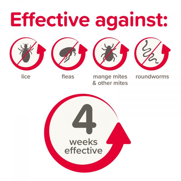 Beaphar Anti Parasite Rabbits Effective against 1600 Beaphar Anti Parasite Rabbits Effective against 1600
