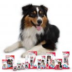 Beaphar Dental Range Dog Lifestyle