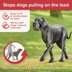 Beaphar Gentle Leader Large Infographic
