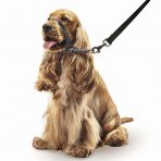 Beaphar Gentle Leader Medium Dog Black Lifestyle1
