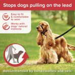 Beaphar Gentle Leader Medium Infographic