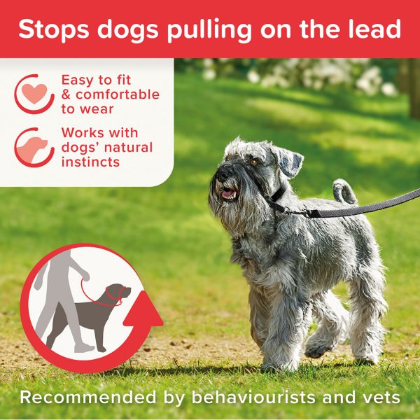 Beaphar Gentle Leader Small Infographic Beaphar Gentle Leader Small Infographic