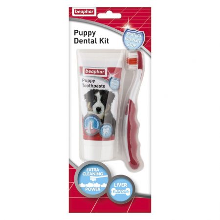 Blister pack of Puppy Dental kit