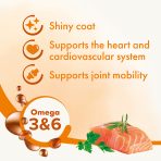 Beaphar Salmon Oil F&B