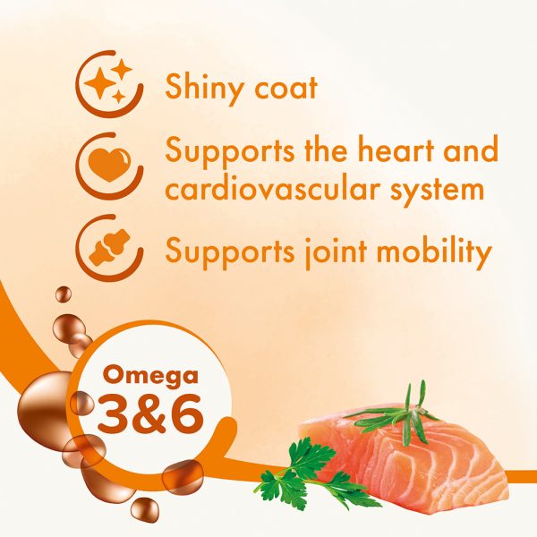 Beaphar Salmon Oil F&B Beaphar Salmon Oil F&B