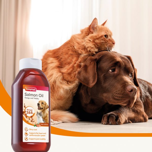 Beaphar Salmon Oil Lifestyle Beaphar Salmon Oil Lifestyle