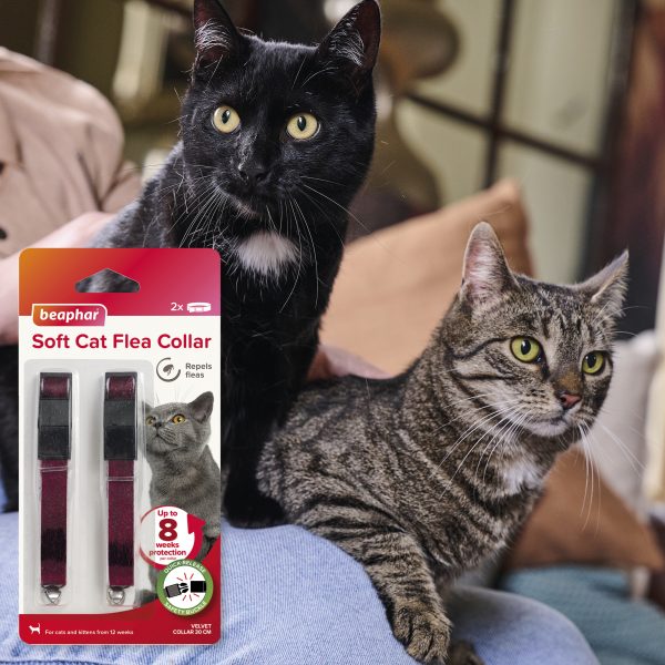 Beaphar Soft Cat Flea Collar Red Twin Pack Lifestyle Beaphar Soft Cat Flea Collar Red Twin Pack Lifestyle