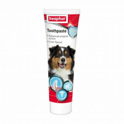 Beaphar Toothpaste for Cats and Dogs