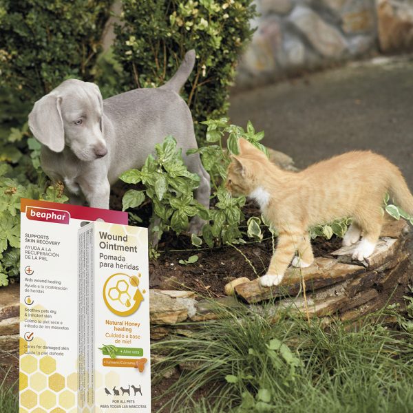 Beaphar Wound Ointment Lifestyle2 Beaphar Wound Ointment Lifestyle2
