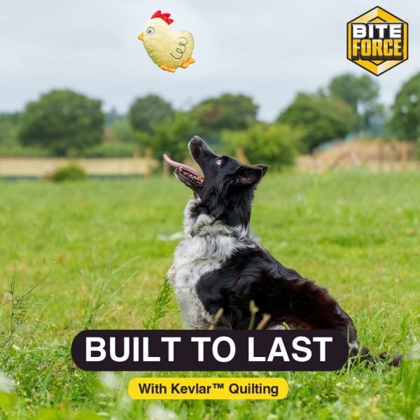 BiteForce Durable Dog Toy Chicken 1080x (2) BiteForce Durable Dog Toy Chicken 1080x (2)