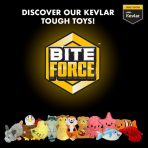 BiteForce Durable Dog Toy Logo & Range 1080