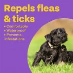 A promotional graphic on a purple background with the heading "Repels fleas & ticks" in bold yellow text. A bulleted list describes the collar as comfortable, waterproof, and effective at preventing infestations. To the right, a circular inset shows a black Schnauzer puppy happily scratching its neck in the grass.